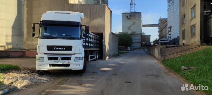 Полуприцеп самосвальный WIELTON NW 3 S 39 PKD, 2022