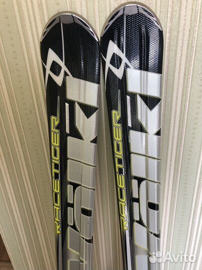 Горные лыжи