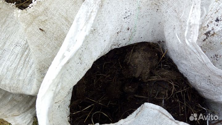 Продаю все мешками коровий, конский перегной, торф