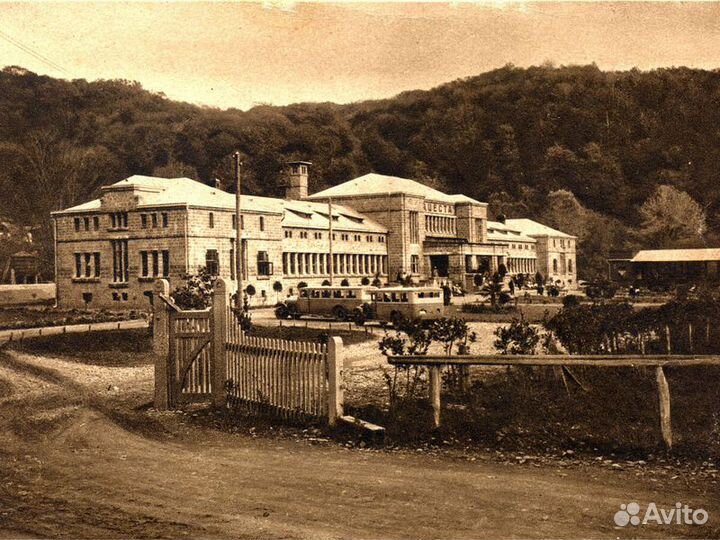 Экскурсия — Сочи — Авторская экскурсия «Сочи иСтал