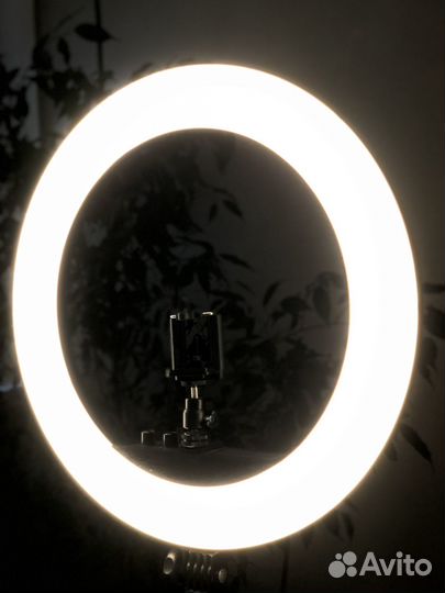 Кольцевая лампа 45 см со штативом