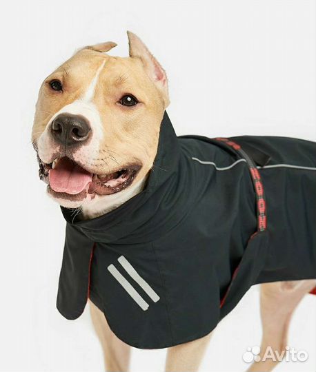 Одежда для большой собаки