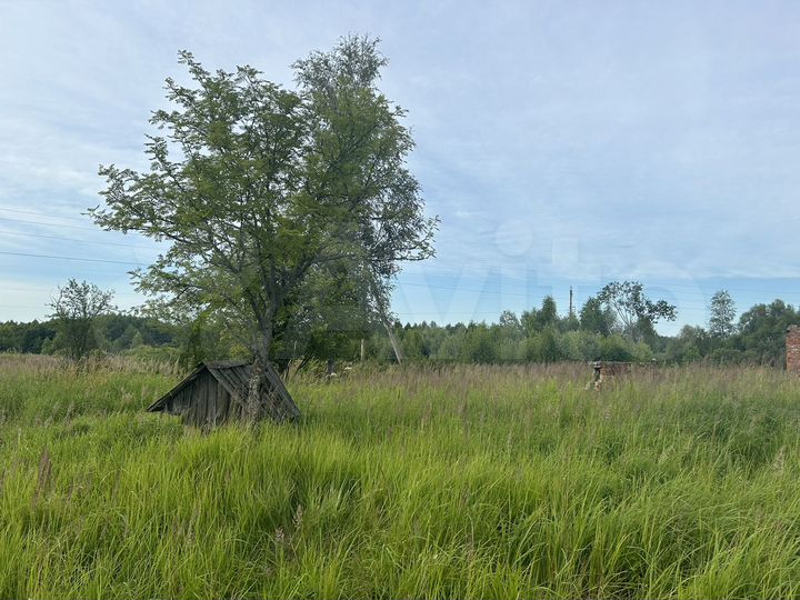 Участок 1,45 га (ИЖС)