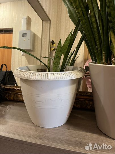 Цветочные горшки бу