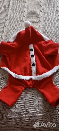 Одежда для средних пород собак