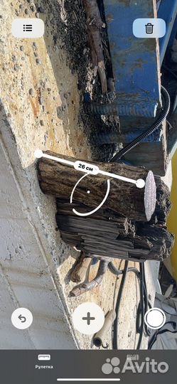 Топляк, морёное дерево, дрифтвуд, коряга