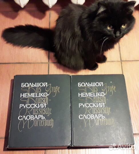 Немецко-русский большой словарь