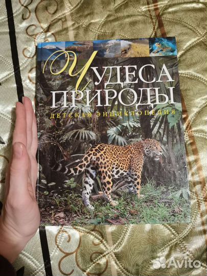 Развивающие книги