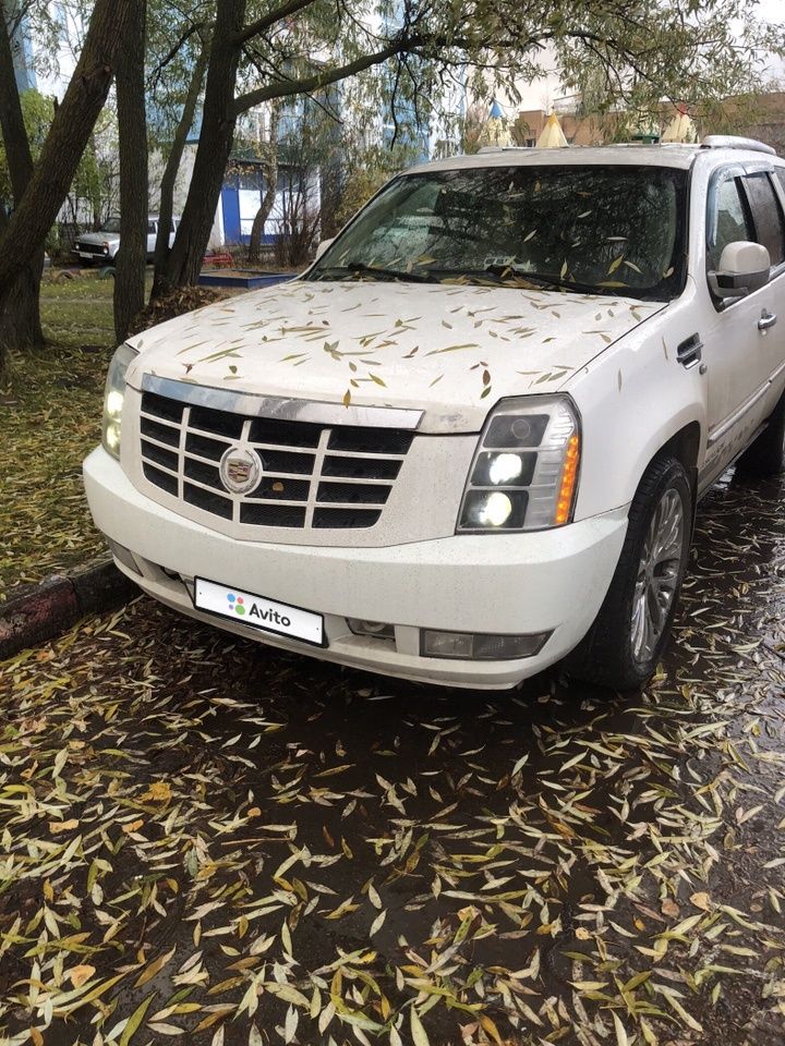 Cadillac Escalade: фото владельца