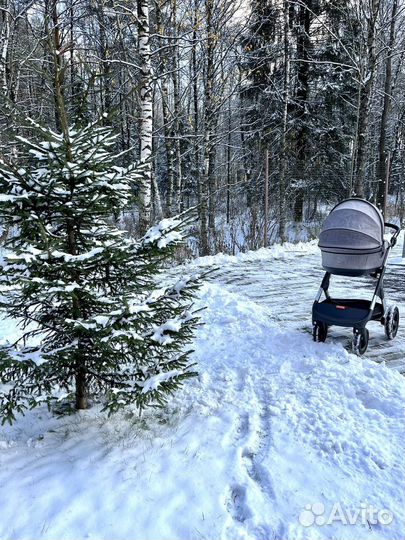 Коляска stokke trailz 2 в 1