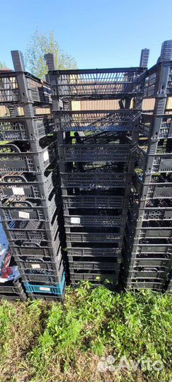 Пластиковая тара ящики