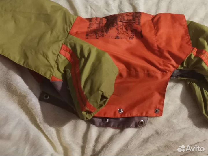 Одежда для собак мелких пород