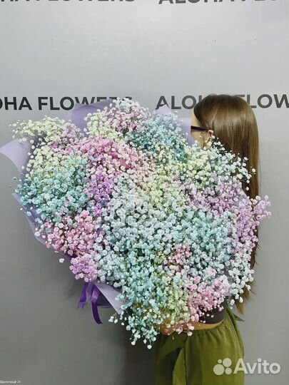 Радужные гипсофилы