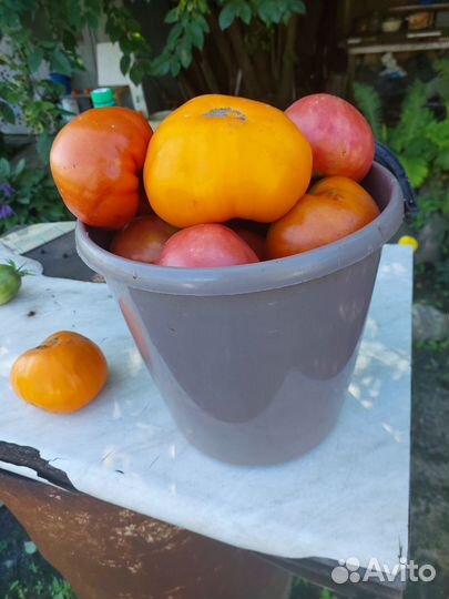 Продукты питания