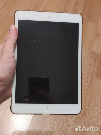 iPad mini 2