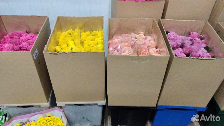 Срезанные Розы напрямую из теплиц цветы