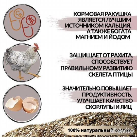 Ракушка кормовая, Мел, Мясокостная мука