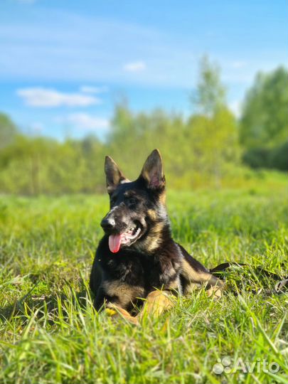 Подрощенные Девочки но