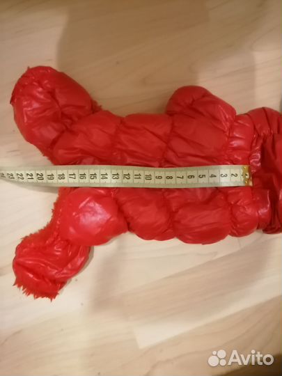 Одежда для маленькой собачки