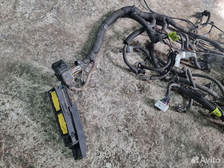 Проводка двигателя Лачетти