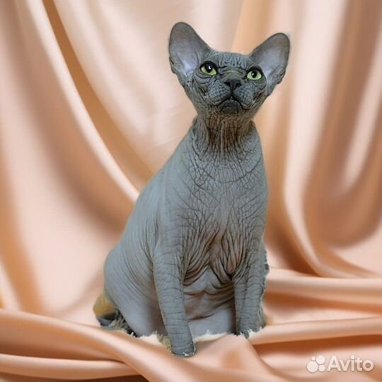 Голубая девочка