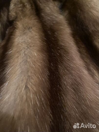 Шкурки соболя