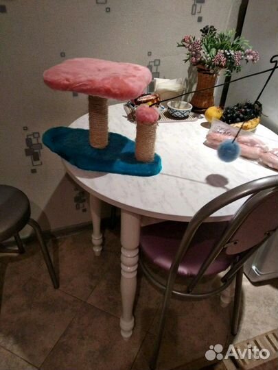 Коктеточка для кошек