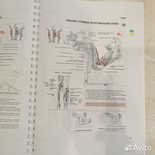 Анатомия силовых упражнений Делавье 5 издание