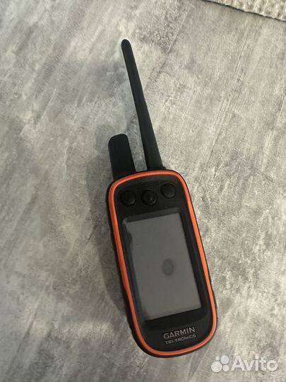 Навигатор garmin alpha 100