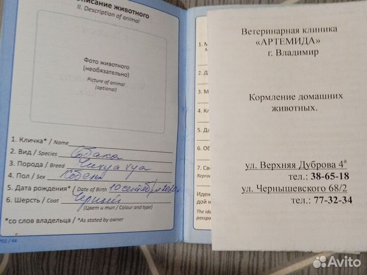 Отдам в добрые руки