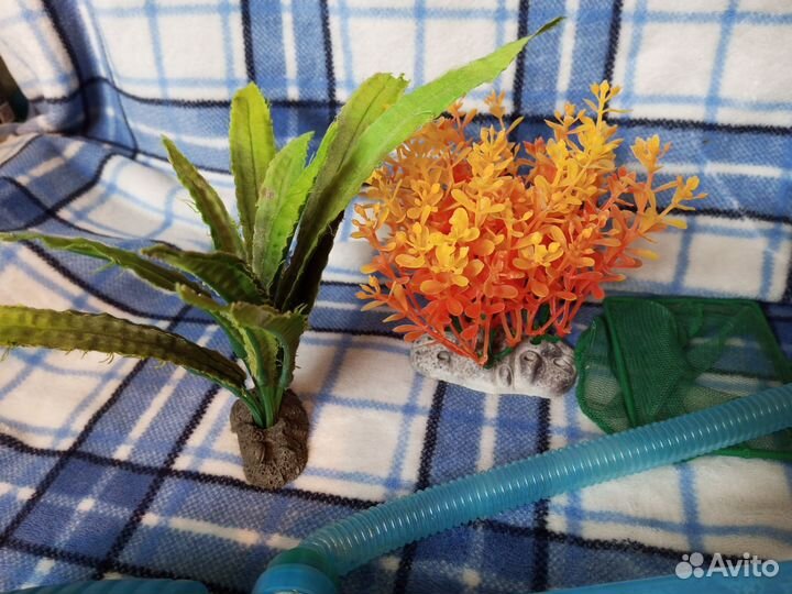 Для аквариума