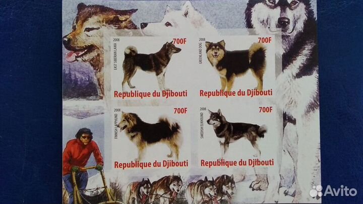 Марки, Фауна