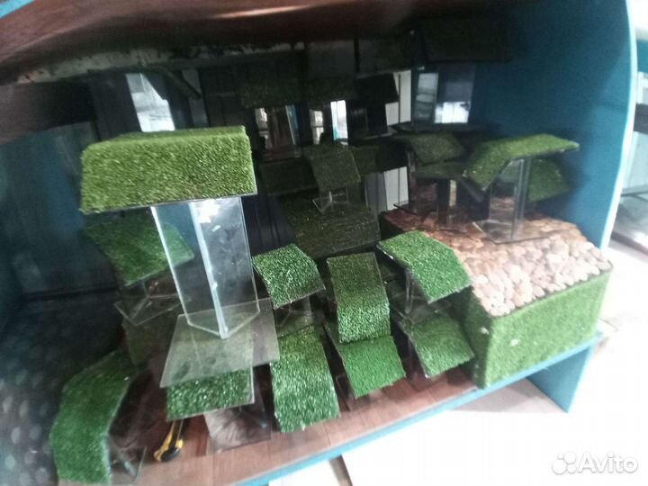 Аквариумы на заказ