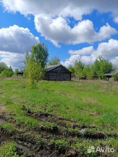 Сруб дома из бревна