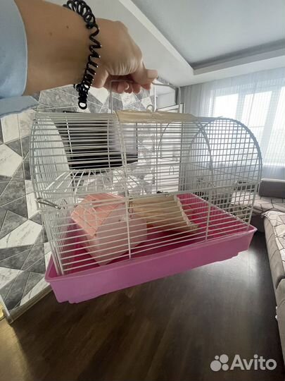 Клетка для хомяка бу