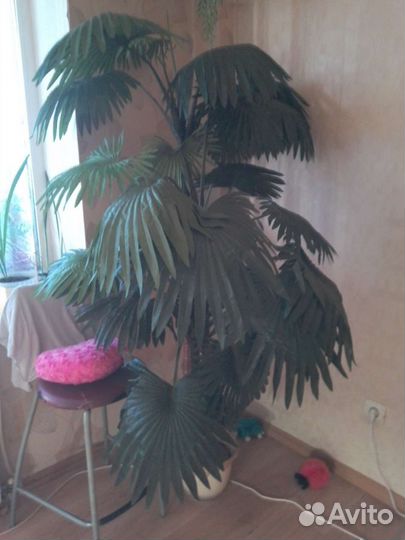 Искусственная пальма бу