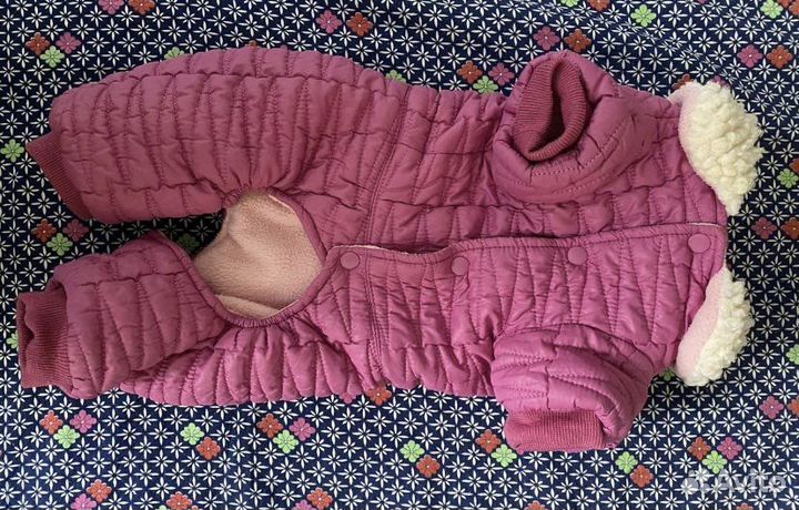 Одежды для собак мопсов,тойтерьеров