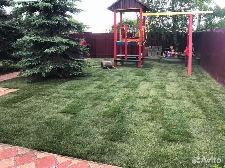 Укладка и продажа газона
