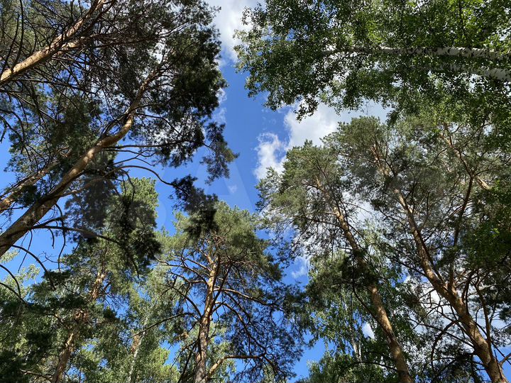 Дом 155 м² в бору рядом с Термами Александрия