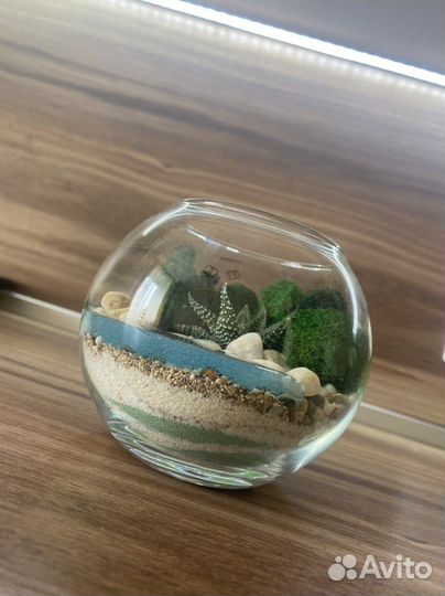 Флорариум с водоемом