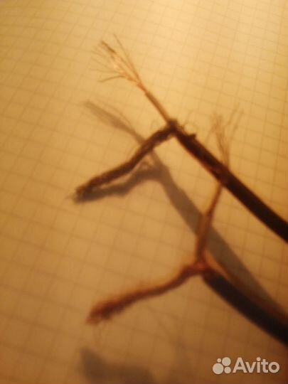 Провод экранированный