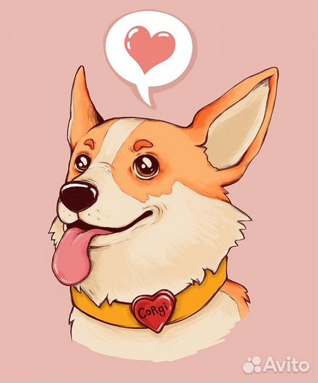 Груминг собак