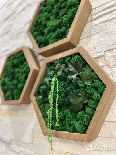 Панно со мхом