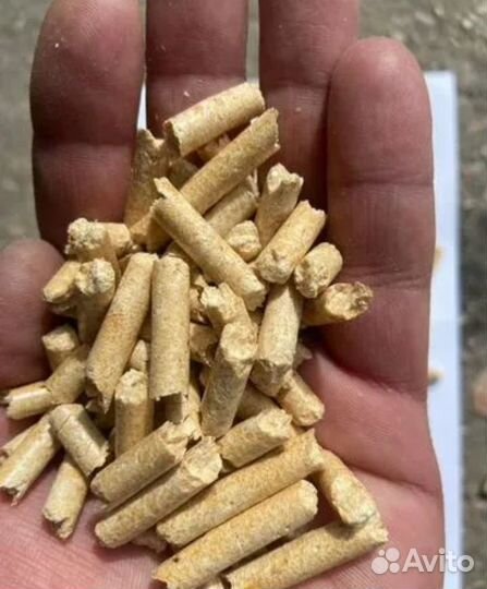 Наполнитель премиум древесный светлый