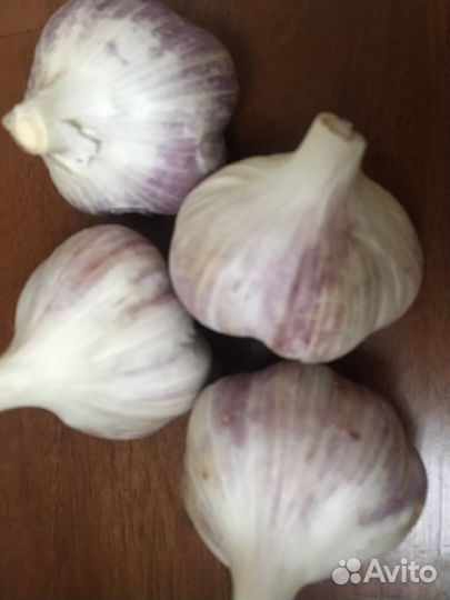 Чеснок