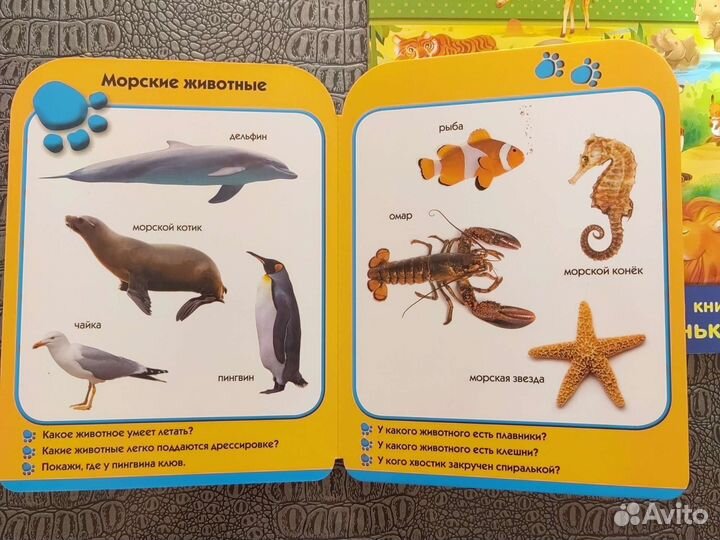 Книги с картинками про животных для малышей