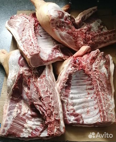 Мясо свинина