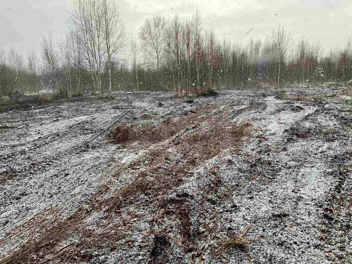 Участок 20 сот. (СНТ, ДНП)