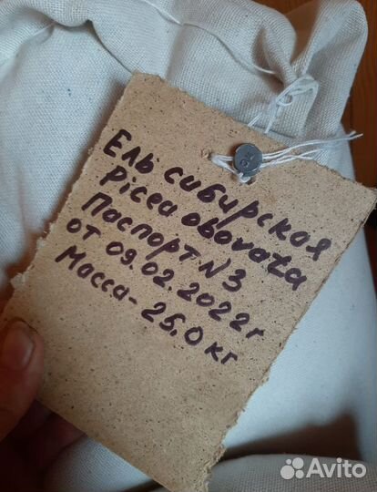 Семена ели обыкновенной