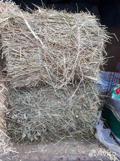 Сено лугавое салома